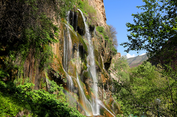 Shaxsiy osilgan kokraklar fotosurati