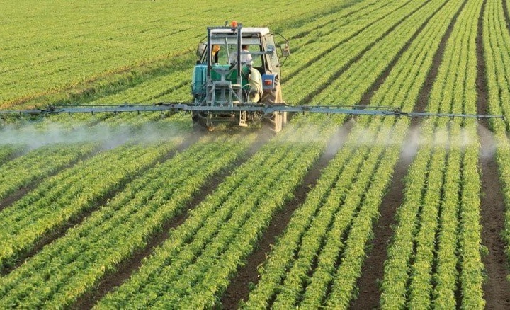 Статистика: қайси ҳудудда деҳқон хўжаликлари сони кўп?