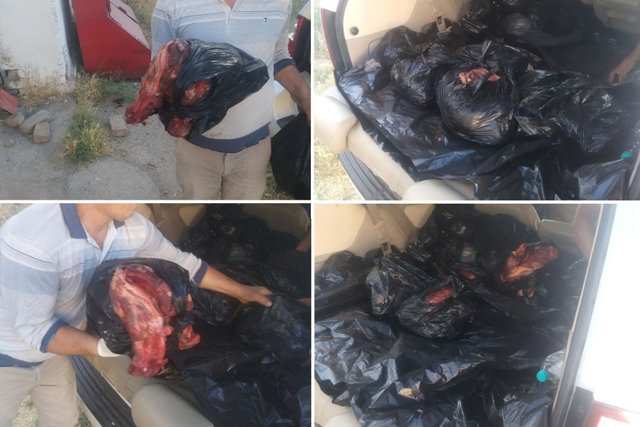 Номаълум ҳайвонга тегишли гўшт йўқ қилинди