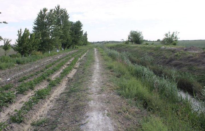 Senat dala chetidan unumli foydalanmaganlarni «jarimaga tortadigan» qonunni ma’qulladi