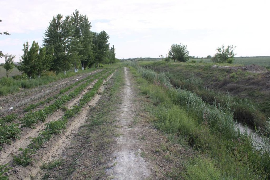 Сенат дала четидан унумли фойдаланмаганларни «жаримага тортадиган» қонунни маъқуллади