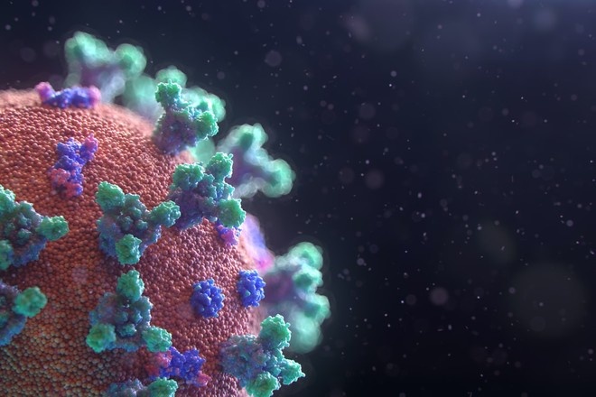 Учёный раскрыл различия в мутациях коронавируса и вируса гриппа
