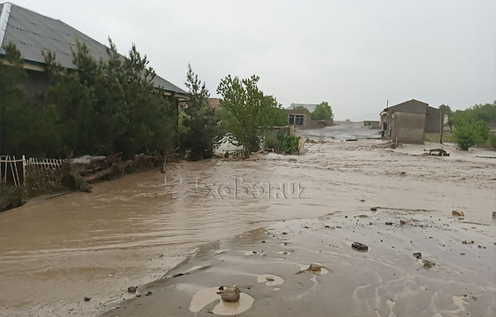 Suv toshqini qurbonlari bo‘yicha qo‘shimcha ma’lumot berildi