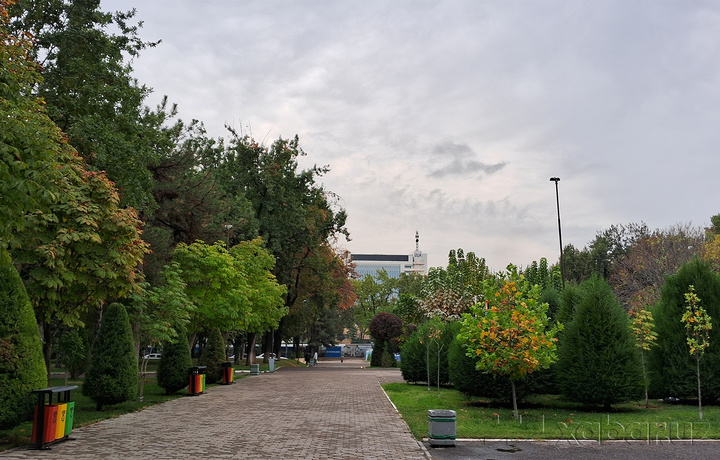 Noyabrda bizni qanday ob-havo kutmoqda?