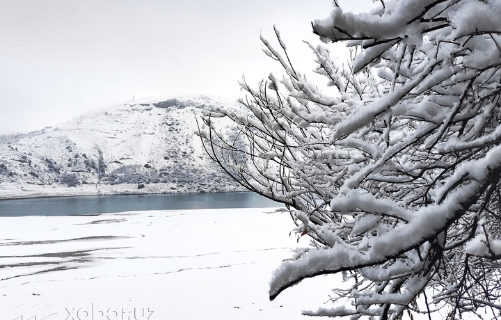 Сегодня температура воздуха по Узбекистану составит 8-13 градусов тепла