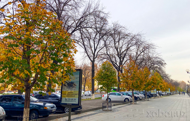 Kunduzgi ob-havo prognozi