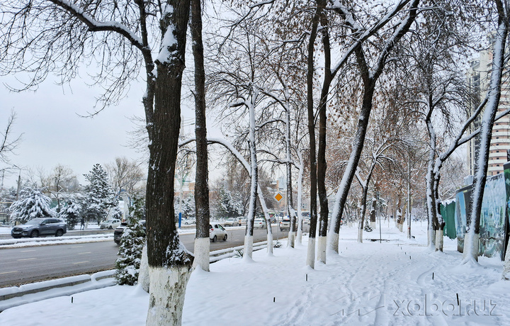 Сегодня температура воздуха составит 0-5 градусов тепла