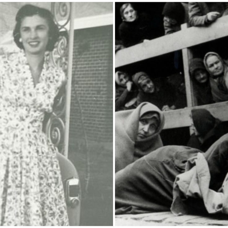 Vendi Fiorening eski kokraklari