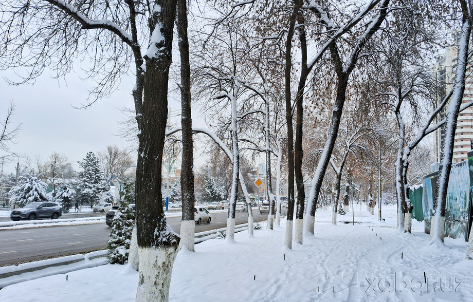 Сегодня температура воздуха составит 0-5 градусов тепла