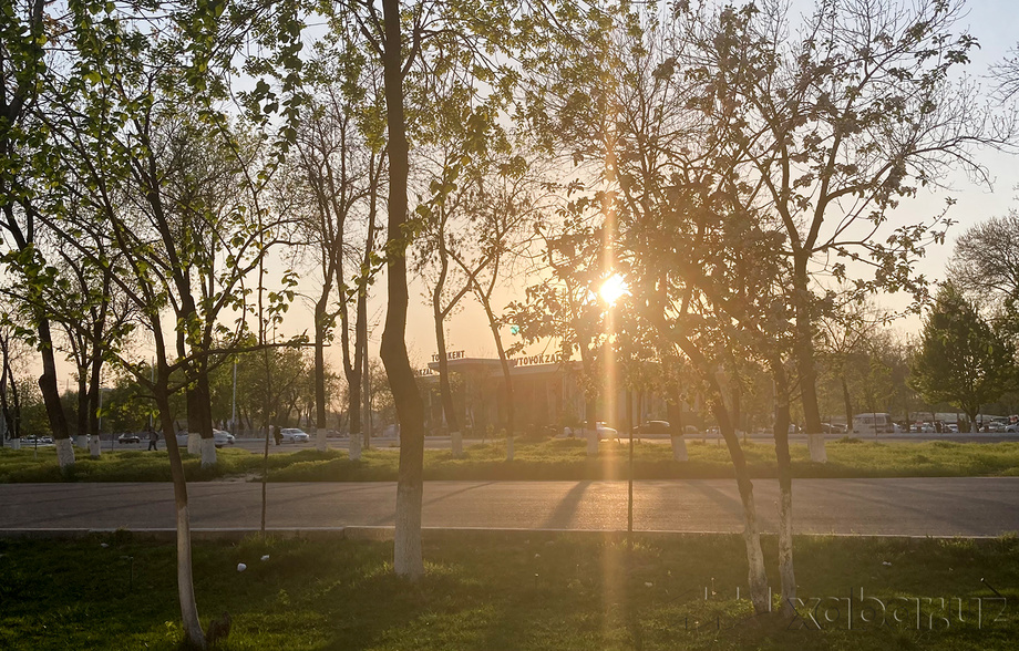 Сегодня температура воздуха по Узбекистану составит 12-17 градусов тепла