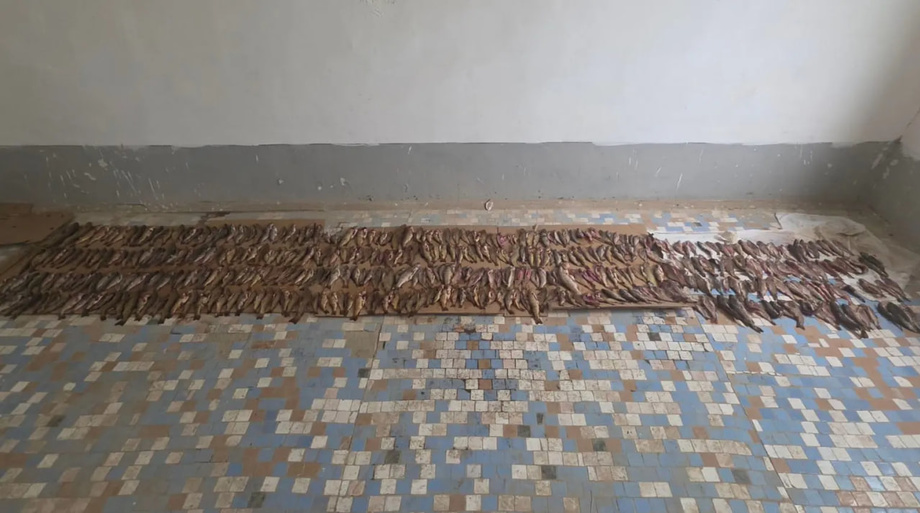 Qashqadaryoda baliqchining tabiatga yetkazgan zarari qariyb 13 mlrd so‘mga baholandi