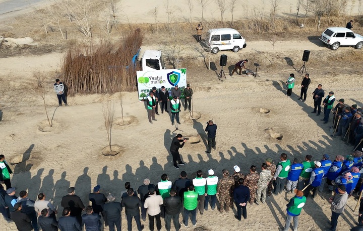 Шофирконда 1 млн кўчат экилади: тафсилотлар