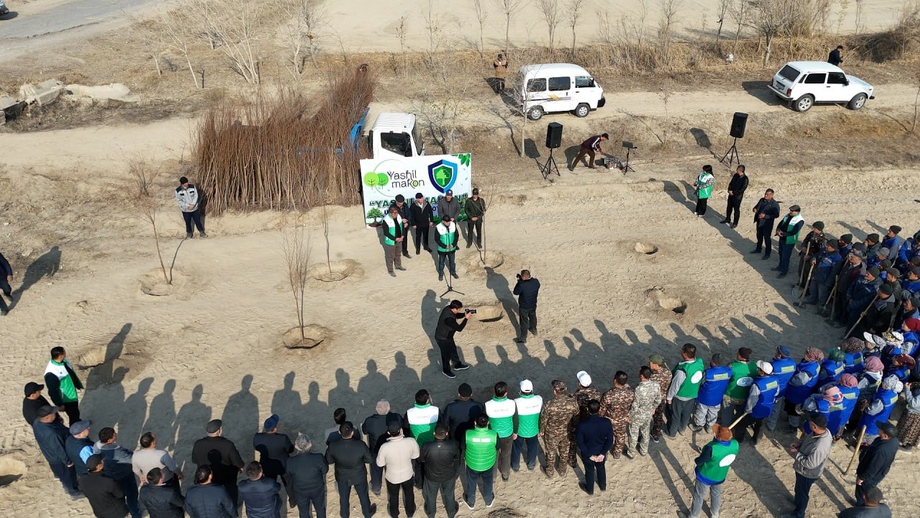 Шофирконда 1 млн кўчат экилади: тафсилотлар