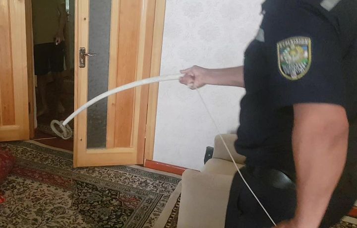 Ðавоий ÑаҳÑидаги ÑйлаÑдан биÑидан заҳаÑли илон ÑиÒди