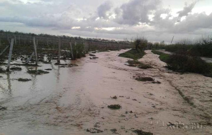 Қашқадарё вилоятидаги қишлоқларда кучли сел келиши кузатилди (фото+видео)