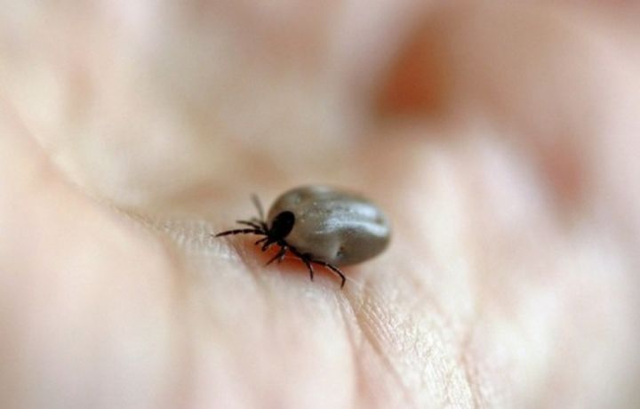 Более ста человек погибли из-за вспышки острого энцефалита в Индии