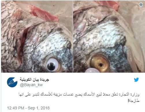 Кувайтдаги дўконда балиқни ноодатий усулда «янгилашди»