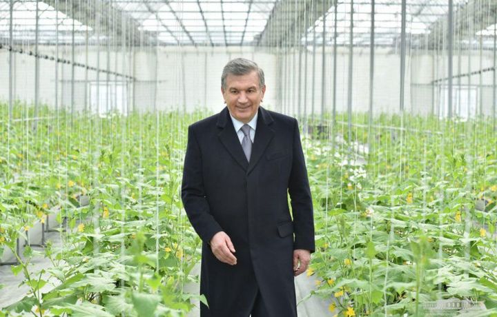 Президент қарори: Ўзбекистонда яна бир агентлик ташкил этилади