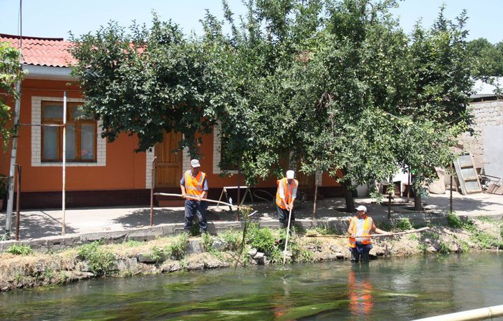 В Ташкенте начаты работы по облагораживанию берегов рек и каналов