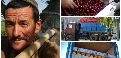 Давлат «ҳимояси». Яна эски ҳаммом, эски тос...ми?