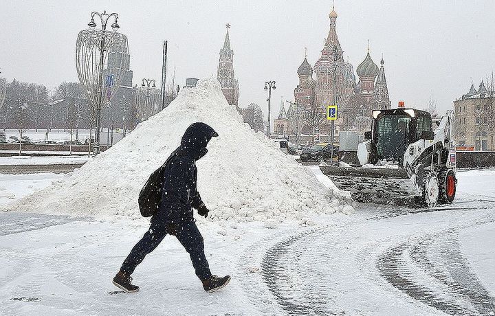 Москвада дарахтнинг қулаши натижасида бир киши ҳалок бўлди