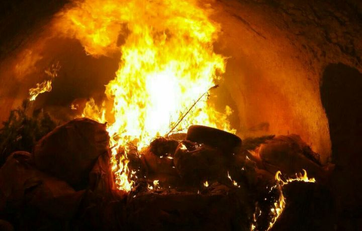 Афғонистондан Ўзбекистонга келтирилган минглаб кўчатлар ёқиб юборилди