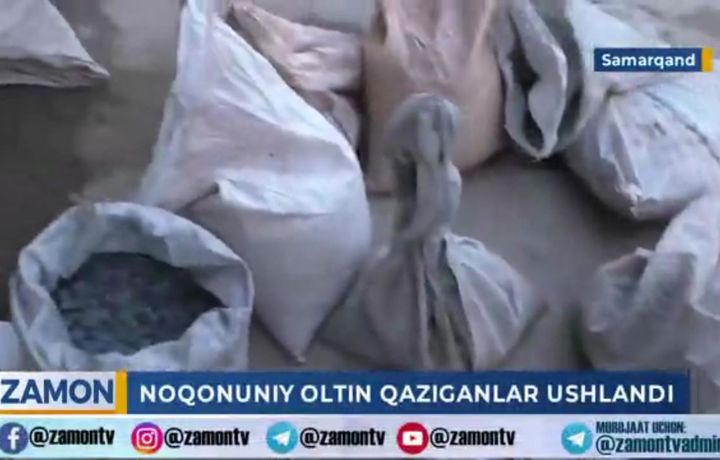 Samarqandda noqonuniy oltin qazuvchilar qo‘lga olindi (video)