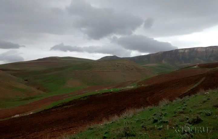 Ob-havo ma’lumoti: yomg‘irli kunlar davom etadimi?
