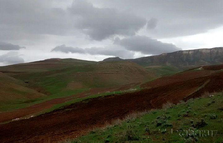 Ob-havo ma’lumoti: yomg‘irli kunlar davom etadimi?