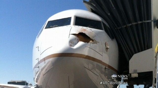 Қушлар галаси самолётга шикаст етказди
