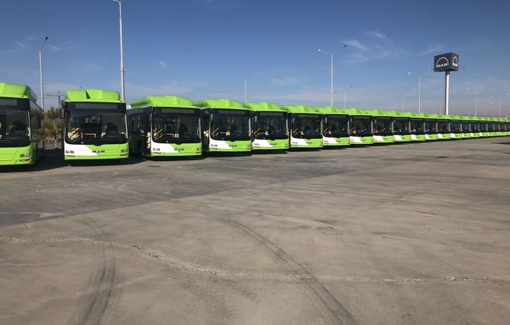 Тошкентга яна 30 та катта «МАN» автобуслари олиб келинди