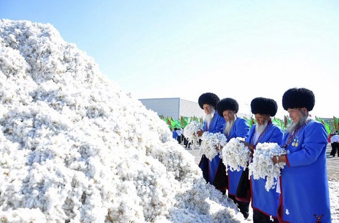 Туркманистон 1 миллион тонна пахта етиштирмоқчи