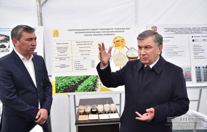 Самарқандда Соя етиштирувчилар ассоциацияси тузилади
