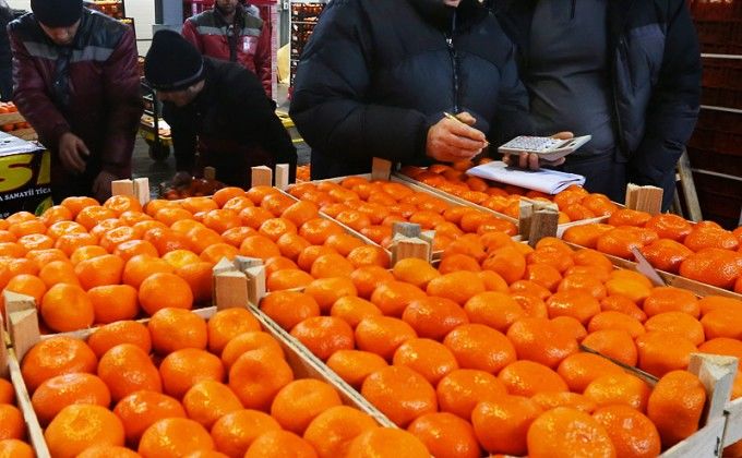 Фарғоналик солиқчилар ноқонуний олиб кетилаётган 41 млн. сўмлик цитрус меваларни аниқлади