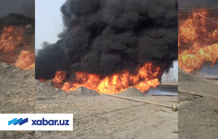 Andijonda so‘nggi 10 yillikdagi eng yirik neft koni topildi (foto + video)