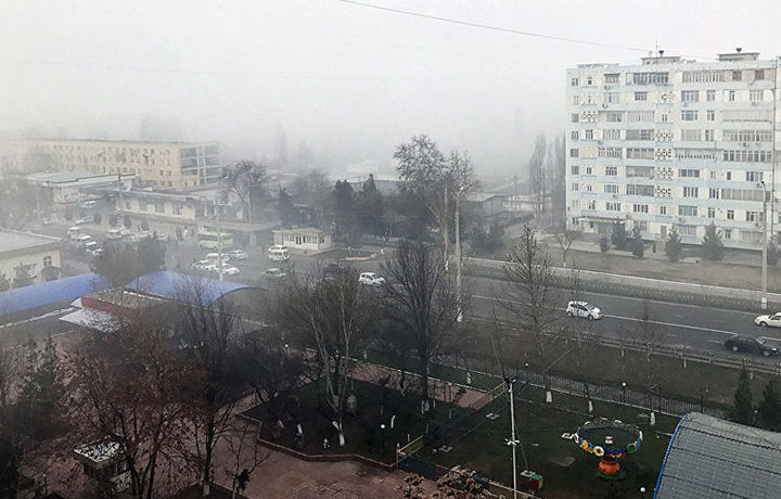 Об-ҳаво маълумоти: Ўзбекистонда туманли ҳаво давом этади