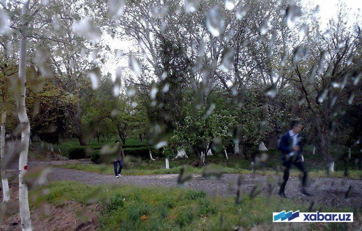 17 апрель куни Ўзбекистон бўйлаб ёмғир ёғади
