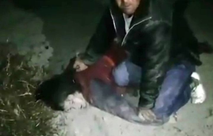 Самарқандда бир аёлни таҳқирлаган ака-укага нисбатан суд ҳукми ўқилди (видео)