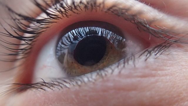 «Google»нинг янги алгоритми кўз орқали юрак касаллигини аниқлай олади