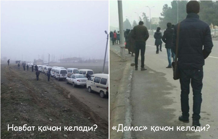 Фото: Андижоннинг газлари қаён кетди?