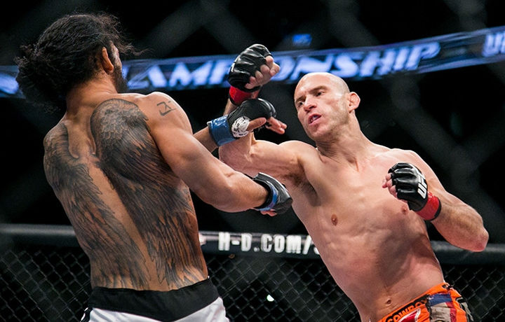 UFC откроет новую весовую категорию