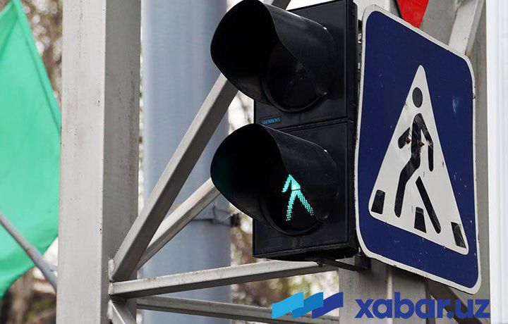 Адлия вазирлиги пиёдаларга қандай ҳолатларда жарима қўлланилишини эслатди